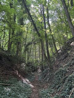 Photo de Helga Amesberger le long du parcours