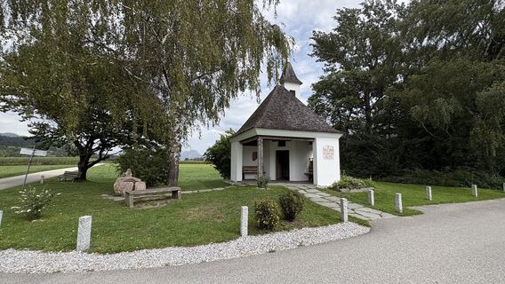 Zdjęcie z Renate Berthold wzdłuż trasy