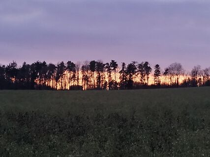 Fotografie z George50 na trase