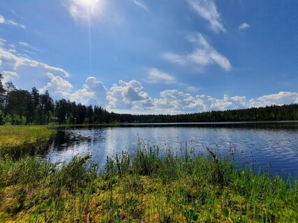 Der Flechtenpfad von Huutoniemi verläuft im Gebiet zwischen zwei Teichen und dem Kyynämöinen-See.