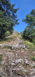 Photo de Hari Schrittwieser le long du parcours