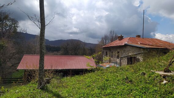 Photo de Ines Velicki le long du parcours