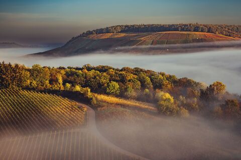 DSGO Weinlandschaft Weinsberger Tal Herbst Nebel Chris Frumolt 6