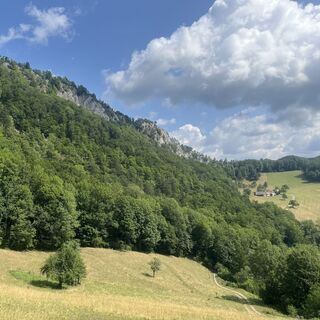 Photo de Nicole Muck le long du parcours