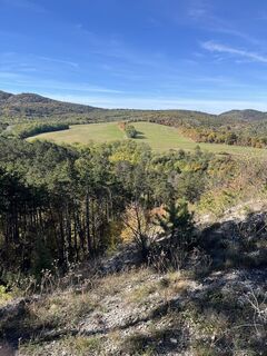 Foto de Vicaliza a lo largo del recorrido