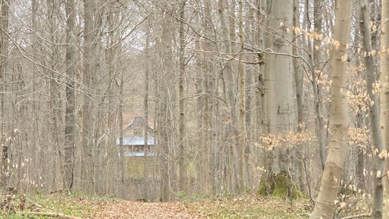 Foto von Katja Senkel entlang der Tour