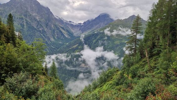 Ausblick vom Aufstiegsweg hinüber zur Verpeilhütte.