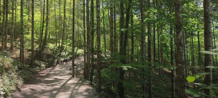 Foto von Sonja Enzenhofer entlang der Tour