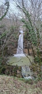 Zdjęcie z Davor  Umag City Croatia.?? wzdłuż trasy