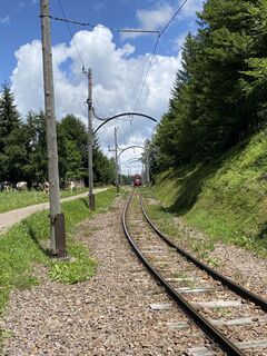 Foto von Olaf Sennhenn entlang der Tour