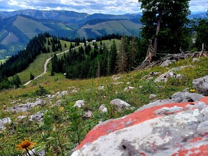 Foto från Hochreiter Anita under resans gång
