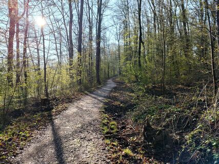 Foto von Poschacher entlang der Tour