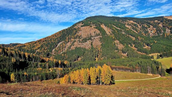 Foto von Regina Fleischmann entlang der Tour