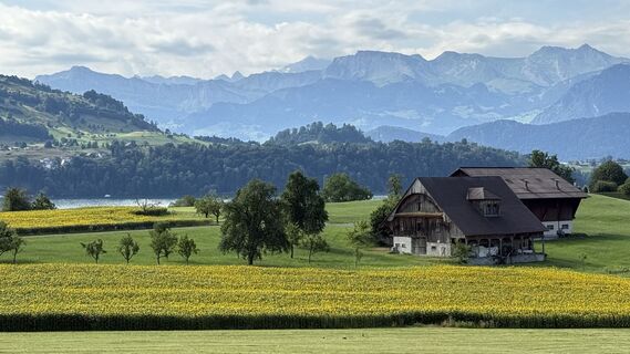 Zdjęcie z Rodrigo Martino wzdłuż trasy
