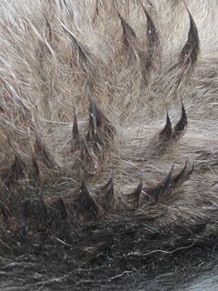 Photo de AdemBuyum le long du parcours