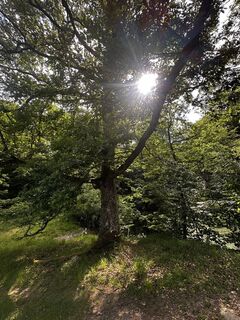 Foto von Viktor Azari entlang der Tour