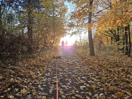 Zdjęcie z roby78 wzdłuż trasy