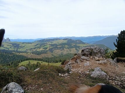 Foto von Kirsten Genglawski entlang der Tour