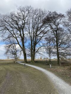 Foto de Roy de Vries a lo largo del recorrido