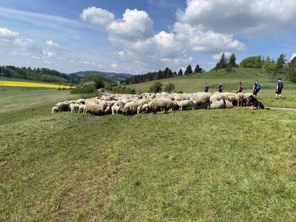 Foto de Pass Christina a lo largo del recorrido