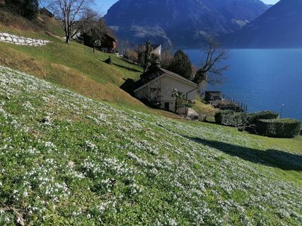 Fotografie z luyyy na trase