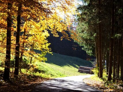 Gänsbrunnstraße unterer Teil