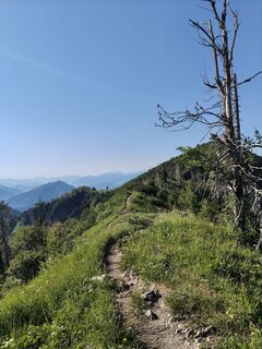 Foto von Hofer Stefanie entlang der Tour