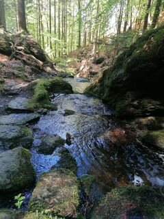 Fotografie z Dagmar Hofer na trase