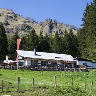 Stallburgalm - Weyer