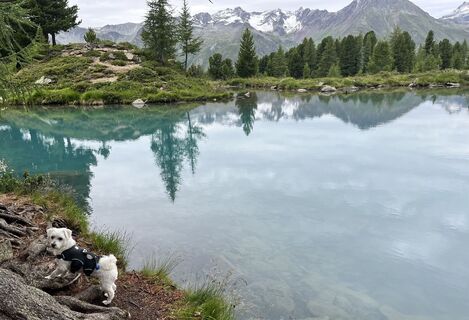 Foto von Diana Zeelte entlang der Tour