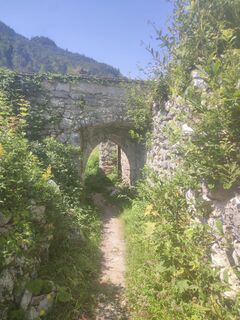 Fotografia z cohiba na trase