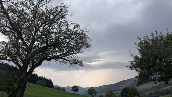 Foto von Ziegler Em1304 entlang der Tour