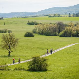 B30 rund um die Rohrbacher Teichwiesen