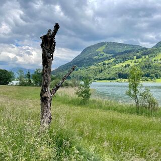 Radeln entlang des Großes Alpsees