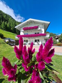 Appartement Skorpion