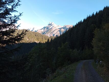Foto de handshifter a lo largo del recorrido
