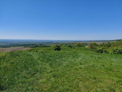 Fotografia z catherina na trase