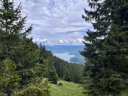 Photo de tobilan le long du parcours