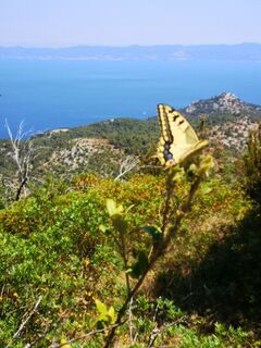 Photo de Cvetka Salamon le long du parcours