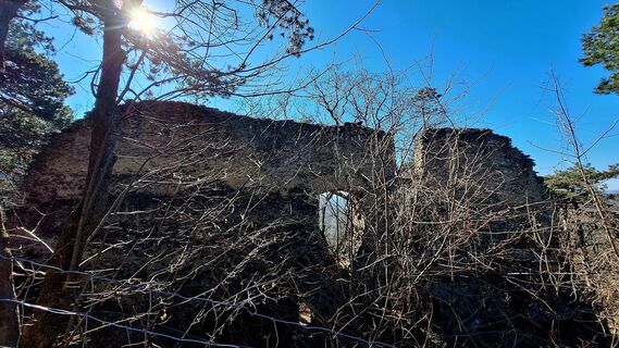 Foto von Regina Fleischmann entlang der Tour