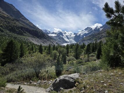 Photo de reburk le long du parcours