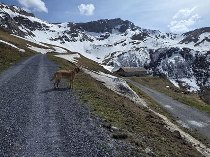 Foto von Carlo Ospelt (Wuffenstein) entlang der Tour