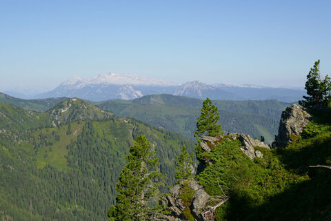 In der Ferne der Dachstein