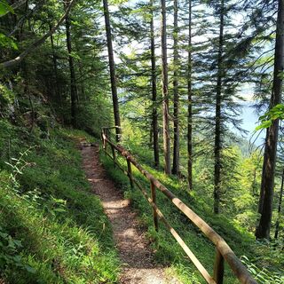Photo de Principessa le long du parcours