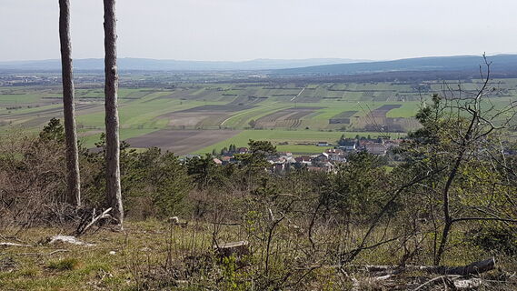 Foto von Bernard entlang der Tour