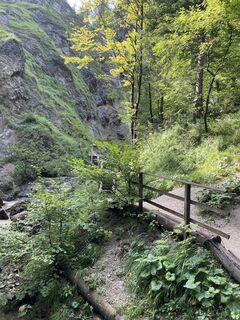 Photo de Maximilian Hosp le long du parcours