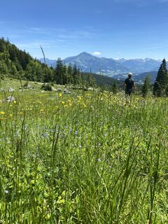 Zdjęcie z eva_mountaininlove wzdłuż trasy