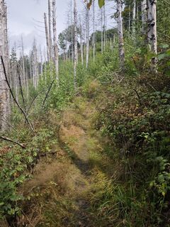 Foto von Björn Heun entlang der Tour