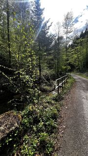 Photo de Sehcup le long du parcours