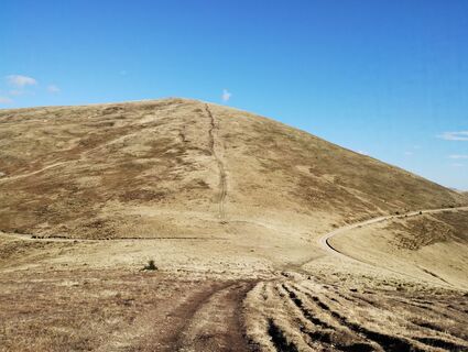 Fotografija s spletne strani Tasurinki Mitote na poti